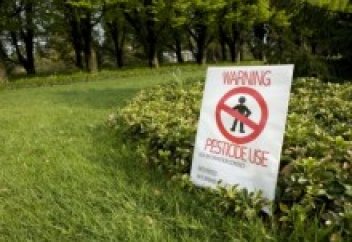 Құранға сүйенген ғалым ғылыми жаңалық ашты