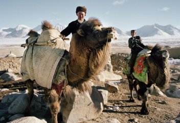 Научные исследования о лечении молоком и мочой верблюдов