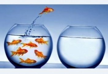 Көшіп барсаңыз, сізге ақша төлейтін 14 жер