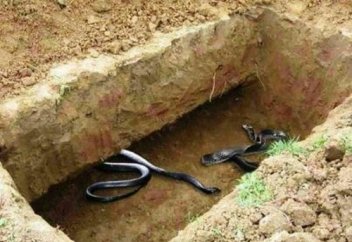 Қабір азабы