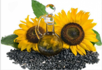 Ғалымдар күнбағыс майының денсаулыққа зиян екенін анықтады