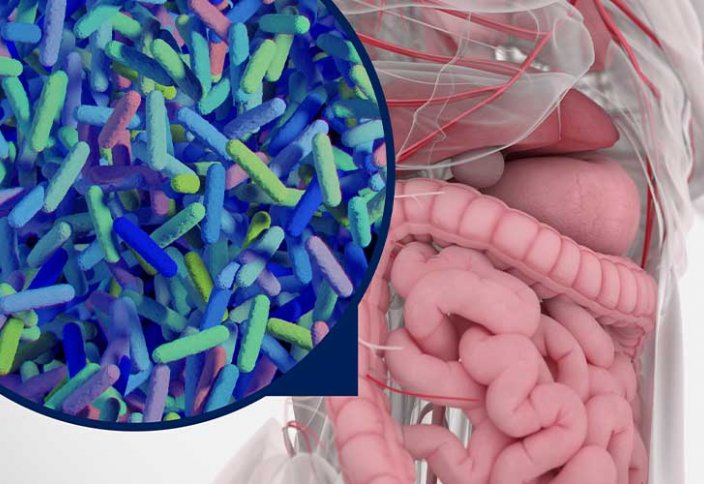 Нанопластиктің ішек микробиомына қалай әсер ететіні белгілі болды