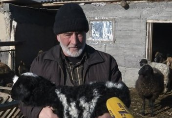 Мұғжиза ма әлде кездейсоқтық па?