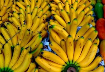 Қытайлар бананды химиялық жолмен қалай дайындайды? (ВИДЕО)