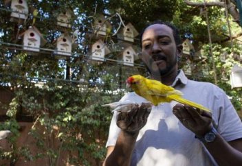 Мусульманин создал в своем саду тропический лес