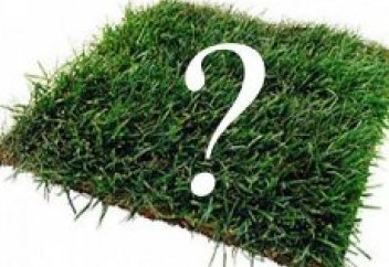 Қазақстанның қанша жерін шетелдіктер пайдаланып отыр?