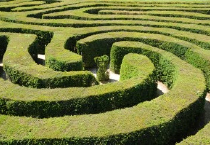 Ученые выяснили, почему ошибки замедляют процесс принятия решений