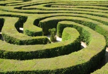 Ученые выяснили, почему ошибки замедляют процесс принятия решений