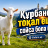Құрбанға тоқал ешкі сойса бола ма?