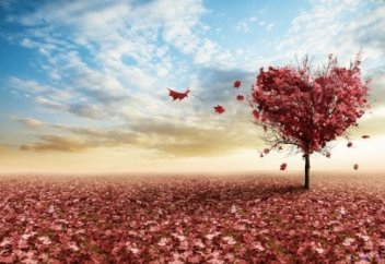 Ценный ХАДИС о ценности НАГРАДЫ за ЛЮБОВЬ друг к другу | Ислам CHANNEL