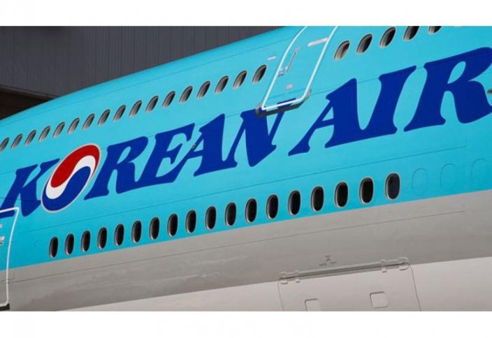 Ұшақ ішіндегі бұзақыларды тоқпен ұрып тоқтатуға рұқсат берді