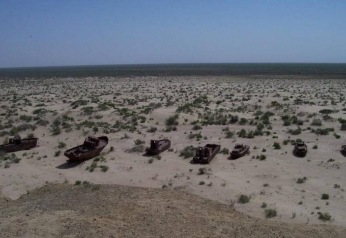 Сотни тысяч гектаров Арала засадят деревьями