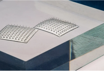 Новый пластырь определяет свежесть продуктов: быстро и надежно. Появился сервис, который подбирает программу питания на основе анализов крови