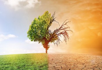 Всемирный банк инвестирует в борьбу с изменением климата в Центральной Азии $100 млрд