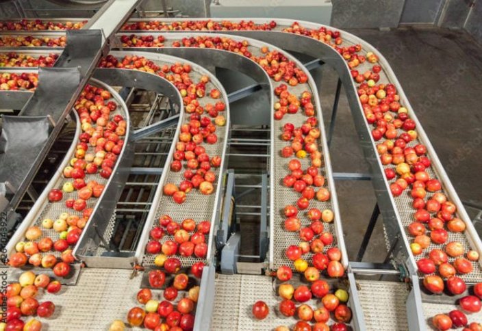 Тағам өнеркәсібі бойынша инвестиция ең көп құйылған бес араб елі