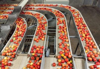 Тағам өнеркәсібі бойынша инвестиция ең көп құйылған бес араб елі