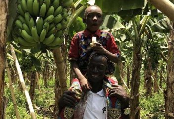 Разные: Турция поддерживает проекты производства бананов в Гвинее