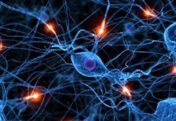 Альцгеймер ауруын тоқтататын тәсіл табылды