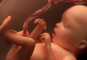 Чем занимаются малыши внутри мам: невероятные кадры (видео)