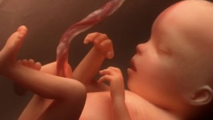 Чем занимаются малыши внутри мам: невероятные кадры (видео)