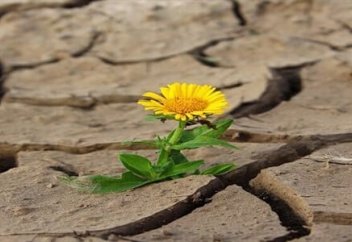 Ықылас пен тақуалықтың маңыздылығы жайында бірер сөз