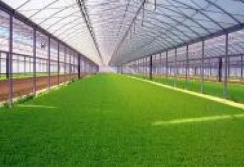 Барлық жеміс-жидек фермасы жылыжайға ауыстырылады