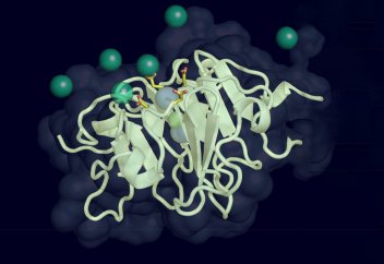 90% жағдайда соқырлыққа бастайтын себеп анықталды