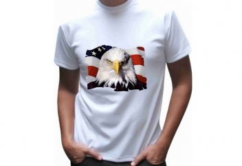 Можно ли совершать намаз  в одежде с изображением живых существ?