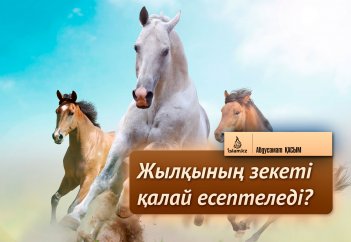 Жылқының зекеті қалай есептеледі?