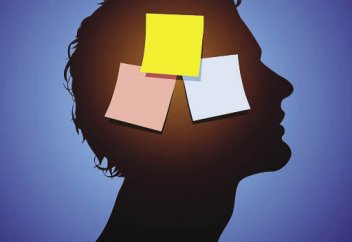 Биологтер ұзақ уақыт бойы есте сақтаудың тиімді тетігін тапты