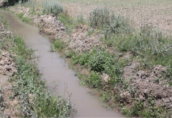 В Казахстане увеличат использование подземных вод для орошения сельскохозяйственных земель