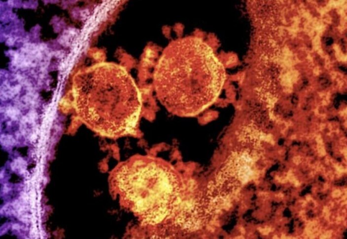 The Atlantic (США): обнаружена тревожная закономерность среди новых разновидностей коронавируса. Врач рассказал о самой опасной мутации коронавируса