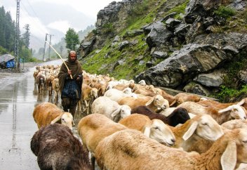 Мұсылман еліндегі халықтың әл-ауқатын көтеретін бағдарлама әлеуметтік-экономикалық реформадан кем түспейді