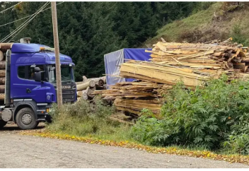 Еуропалық Одақ экологиялық қылмыс үшін жазаны күшейтті