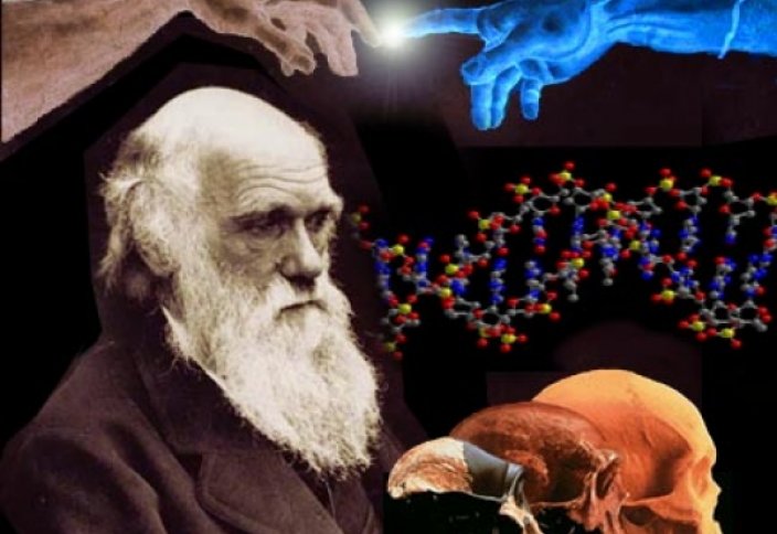 Теория биологической эволюции и ислам