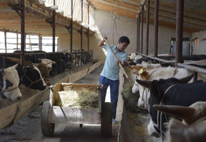 В Казахстане фермерам вернут дифференцированный тариф на электроэнергию