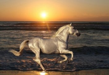 Азаншылар жарысындағы бас жүлде