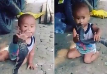 Кішкентай баланы улы жыланмен ойнатып қойған ата-анасы жұрттың жағасын ұстатты (видео)