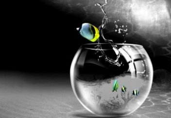 Аквариумде 9 айда 23 млн-нан аса балық өсіре алған ел