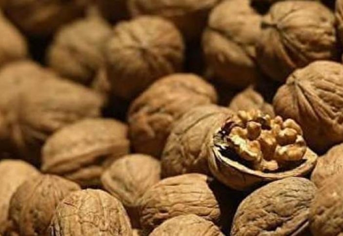 Около 900 тонн грецких орехов собрали в одном из районов Туркестанской области