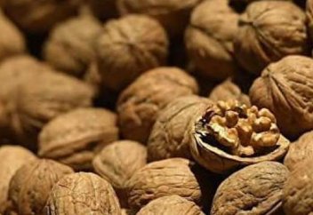 Около 900 тонн грецких орехов собрали в одном из районов Туркестанской области