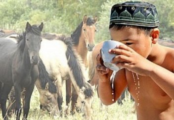 Саумал 10-15 минуттың ішінде ішілмесе, адамға зиян болуы мүмкін. Өкпе зақымданғанда қымыз бен шұбаттың пайдасы бар ма?