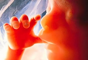 Жасанды түсік - жарға жықпасын...