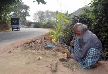 48 жылда 17 532 түп ағаш отырғызыпты (фото)