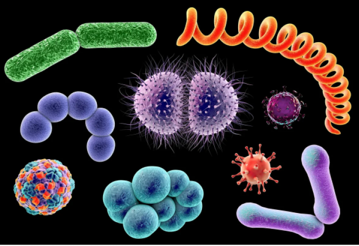 Вирусы, бактерии и грибки находятся за пневмонией. Знай свои первые симптомы вовремя