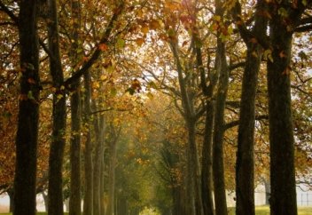 Бақыттысың ба