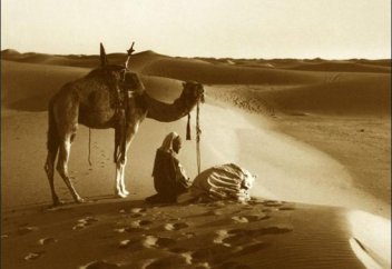 Түнгі намаздың дәретімен таң намазын оқыған ғалым