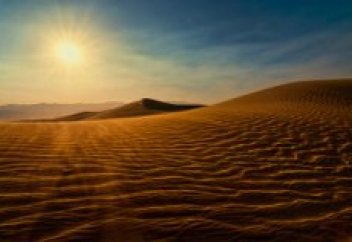 Ғалымдар Сахараны жасыл алқапқа айналдыратын болды