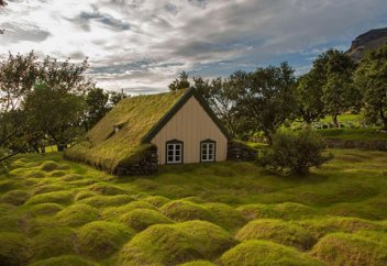 Скандинавтықтар шөп басқан жасыл шатырлы үйлерге неге құмар? (фото)