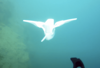 Китайские ученые создали мягкого робота, который сумел погрузиться на дно Марианской впадины (видео)